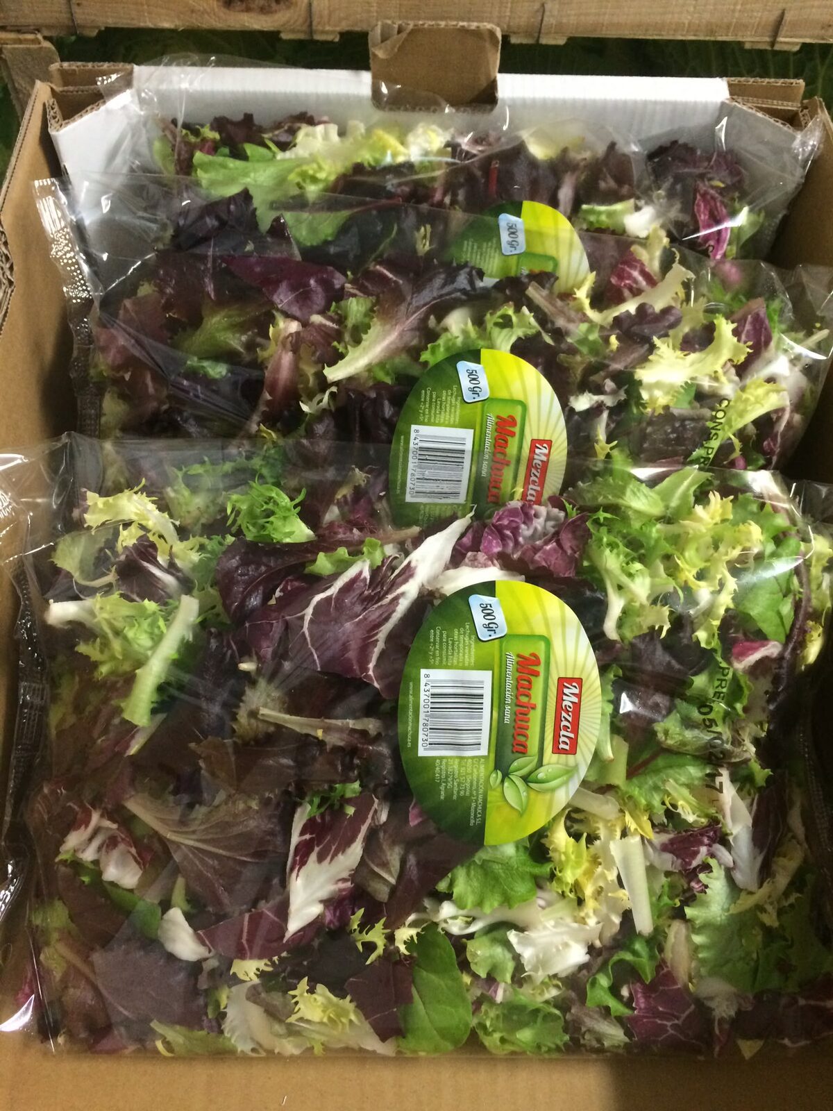 Ensalada lavada y envasada