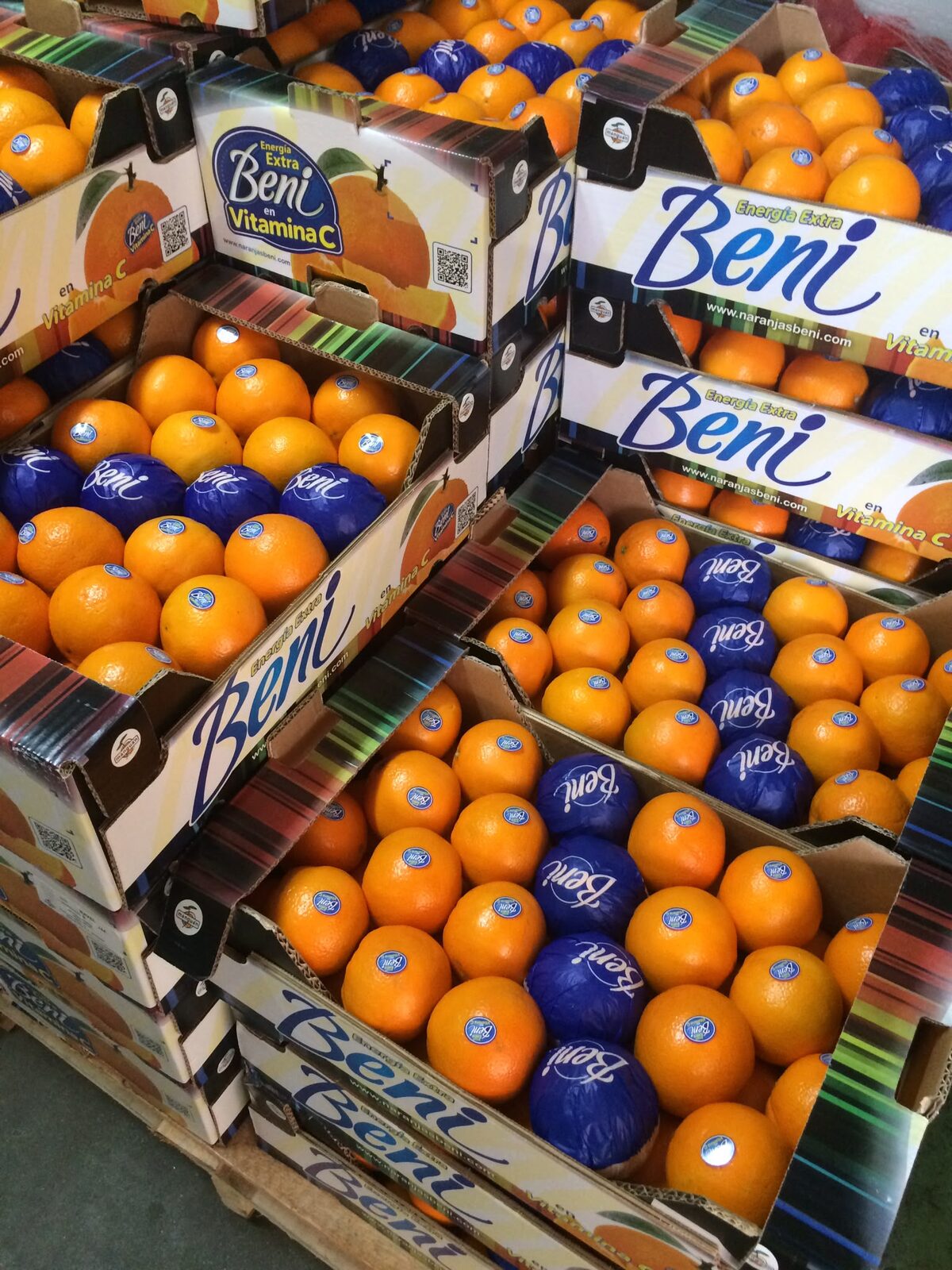 Expositor de frutería con naranjas