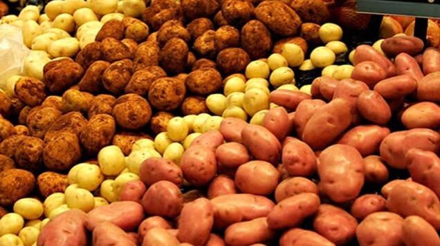 Variedades y calibres de patata